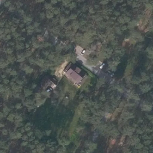 Vaizdas iš viršaus: Algirdo g. 27, Birštonas