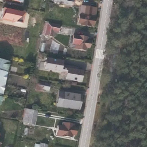 Vaizdas iš viršaus: Pušyno g. 33, Birštonas