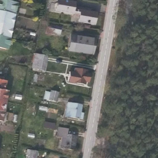 Vaizdas iš viršaus: Pušyno g. 29, Birštonas