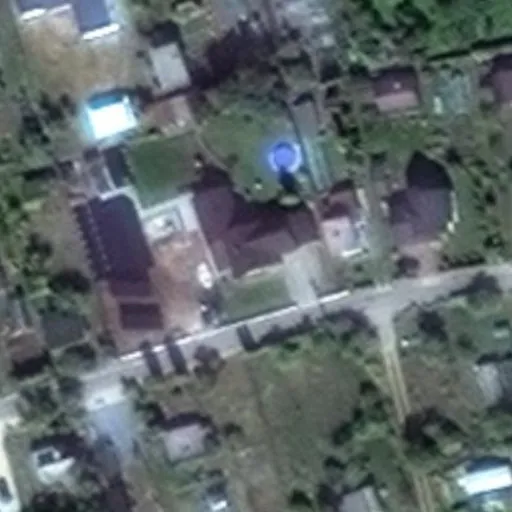 Vaizdas iš viršaus: Pušyno g. 20, Druskininkai