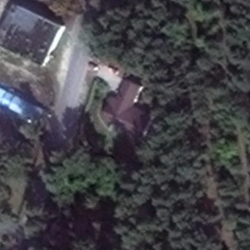 Vaizdas iš viršaus: Baravykų g. 8, Druskininkai