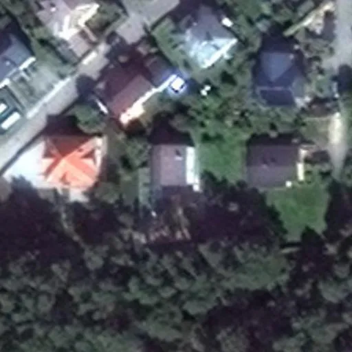 Vaizdas iš viršaus: Cimakovo g. 11, Druskininkai