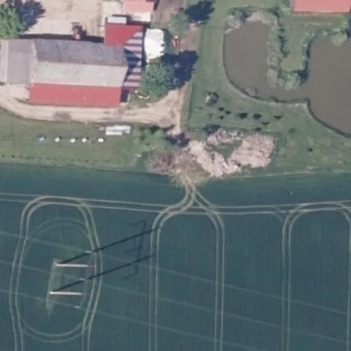 Vaizdas iš viršaus: Raišupis 9
