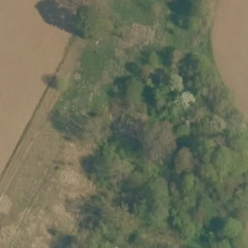 Vaizdas iš viršaus: Nabuilių g. 48, Dauginiai