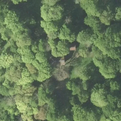 Vaizdas iš viršaus: Dvaro g. 5, Dainoriai