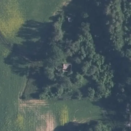 Vaizdas iš viršaus: Mokyklos g. 4B, Savilionys
