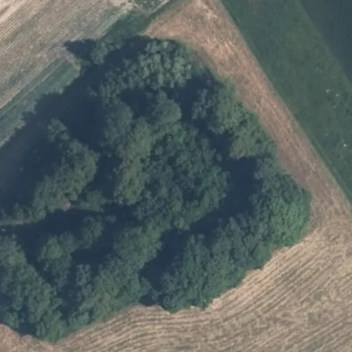 Vaizdas iš viršaus: Pakašavo g. 5, Pakašavas