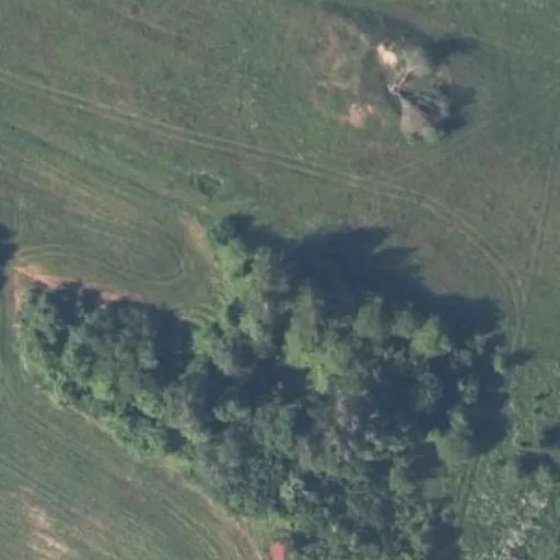 Vaizdas iš viršaus: Parko g. 52A, Pupasodis