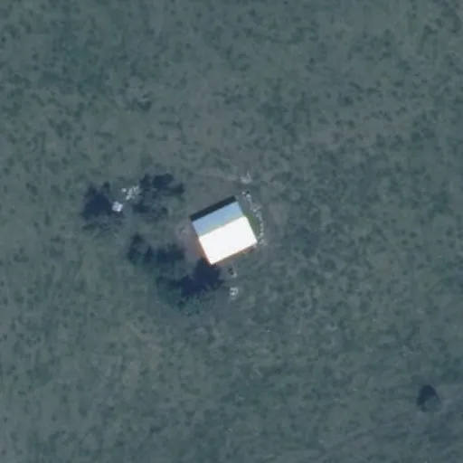 Vaizdas iš viršaus: Dainavos g. 53, Obelytė