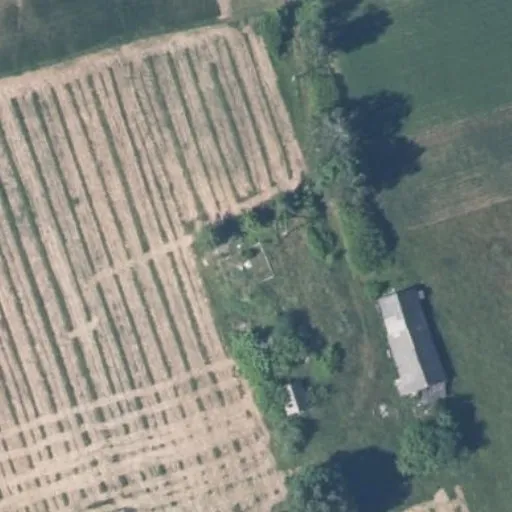 Vaizdas iš viršaus: Daugų g. 115, Ilgai