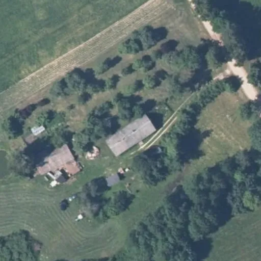 Vaizdas iš viršaus: Žalioji g. 11, Dušnionys