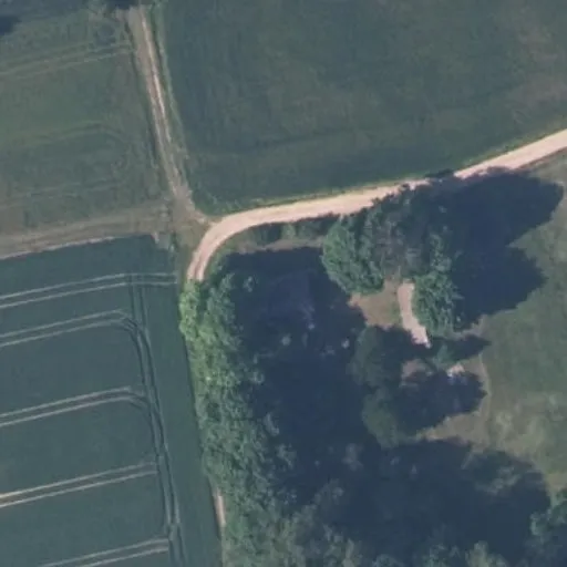 Vaizdas iš viršaus: Kaštonų g. 97, Metelytė