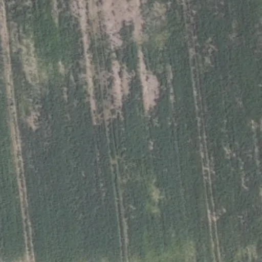Vaizdas iš viršaus: Sodų g. 7A, Greikonys