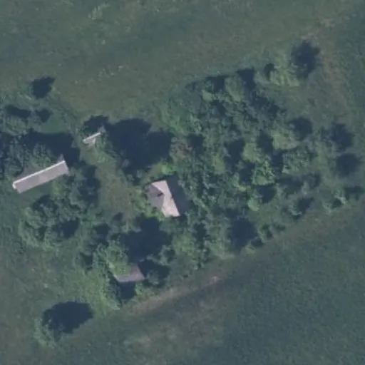 Vaizdas iš viršaus: Galintėnų g. 20, Galintėnai
