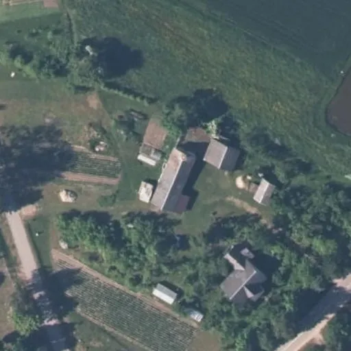Vaizdas iš viršaus: Parko g. 55, Pupasodis