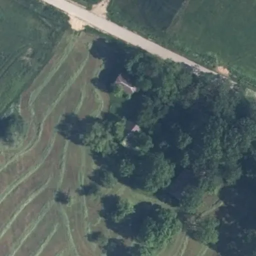 Vaizdas iš viršaus: Lankų g. 24, Butrimiškiai