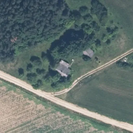 Vaizdas iš viršaus: Centrinė g. 46, Kančėnai