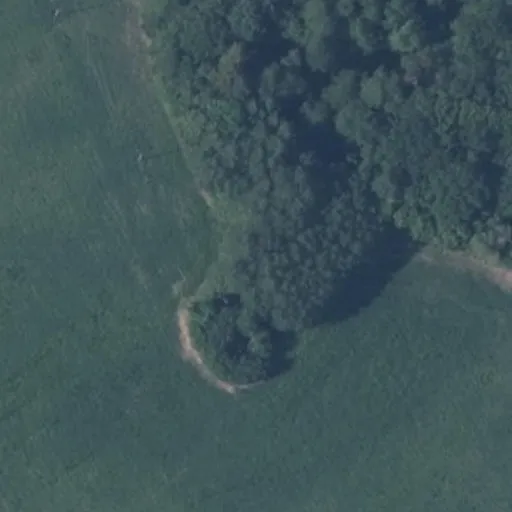 Vaizdas iš viršaus: Sodybų g. 43, Parėčėnai