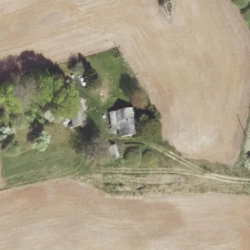 Vaizdas iš viršaus: Palašišos g. 4, Dauginčiai