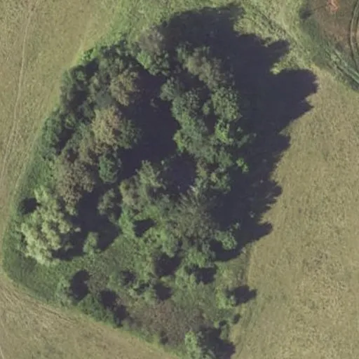 Vaizdas iš viršaus: Pagraužių g. 36, Burbiškis