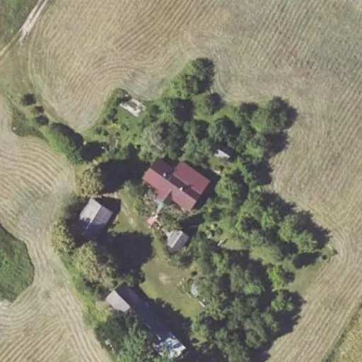 Vaizdas iš viršaus: Pagraužių g. 37, Burbiškis