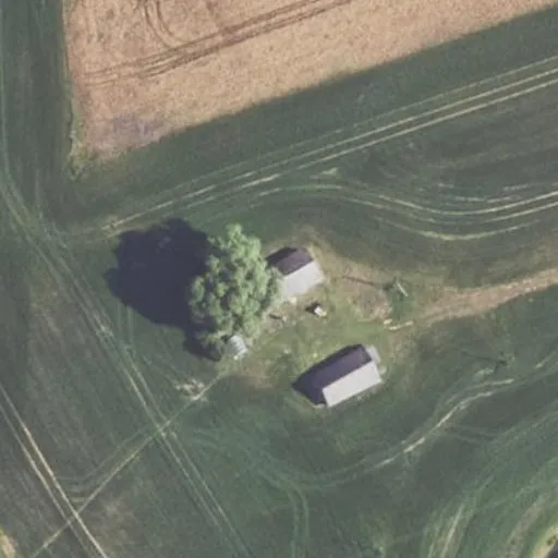 Vaizdas iš viršaus: Šunykštos g. 6, Dauginčiai