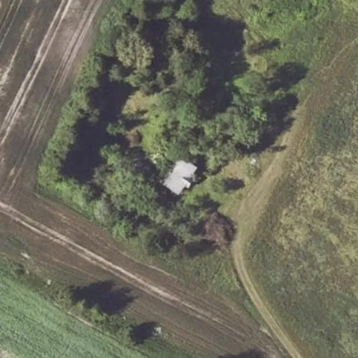 Vaizdas iš viršaus: Pagraužių g. 31, Burbiškis