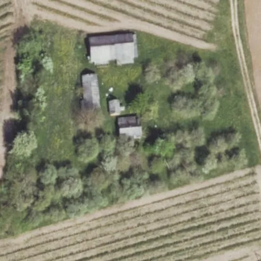 Vaizdas iš viršaus: Palašišos g. 1, Dauginčiai