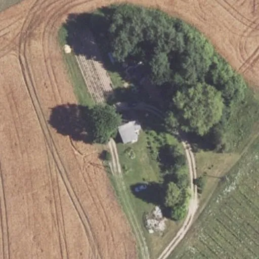 Vaizdas iš viršaus: Šunykštos g. 1, Dauginčiai