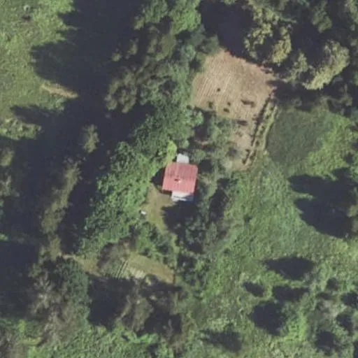 Vaizdas iš viršaus: Šaulių g. 1, Kurkliai I