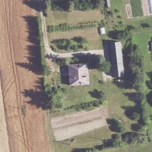 Vaizdas iš viršaus: Palaukės g. 4, Dauginčiai