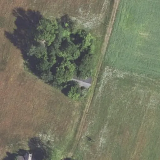 Vaizdas iš viršaus: Valkiškių g. 29, Valkiškiai