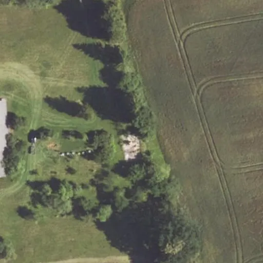 Vaizdas iš viršaus: Agluonos g. 13, Ožkiniškis