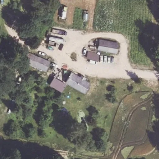 Vaizdas iš viršaus: Rinkuškių g. 55, Rinkuškiai