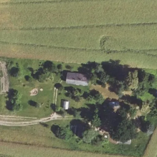 Vaizdas iš viršaus: Biržų g. 33B, Kilučiai