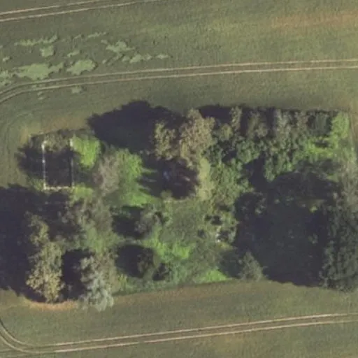 Vaizdas iš viršaus: Agluonos g. 17, Dirvonakiai