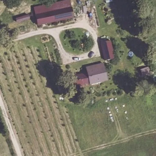 Vaizdas iš viršaus: Palaukės g. 17, Rinkuškiai