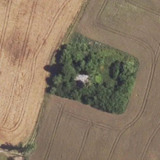 Vaizdas iš viršaus: Žalgirio g. 48B, Kirdonėliai