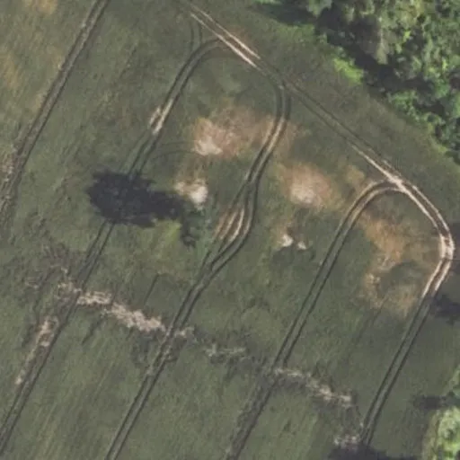 Vaizdas iš viršaus: Gulbinų g. 2B, Užugulbinė