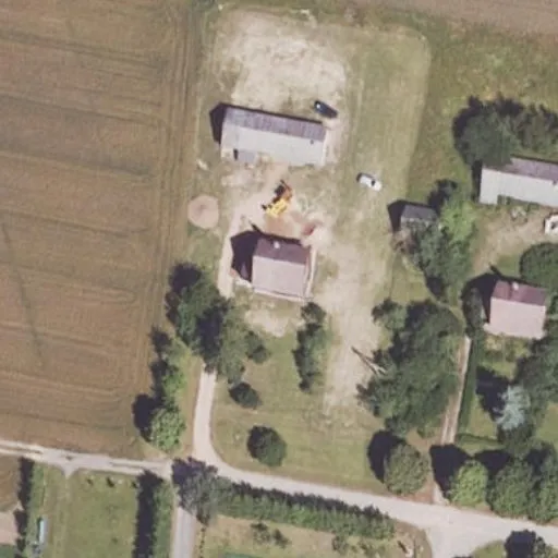 Vaizdas iš viršaus: Eglių aklg. 11, Ramongaliai