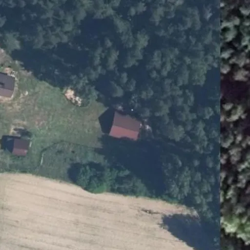 Vaizdas iš viršaus: Dainavos g. 49, Dainava