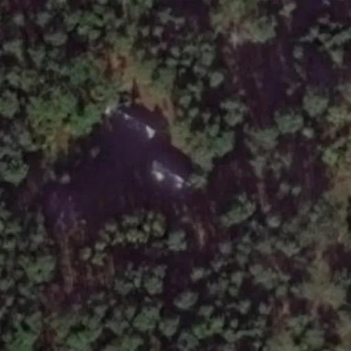 Vaizdas iš viršaus: Jaskonių g. 61, Jaskonys