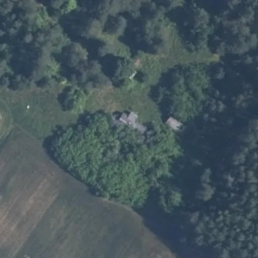 Vaizdas iš viršaus: Pamiškio g. 2, Kibyšiai