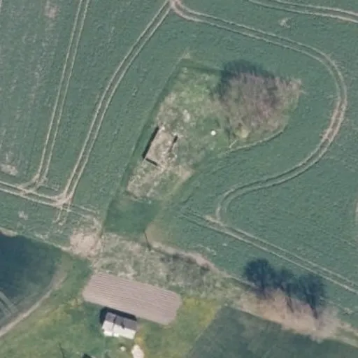 Vaizdas iš viršaus: Šilkalnio g. 6, Gižai