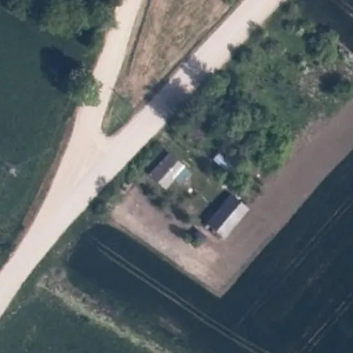Vaizdas iš viršaus: Kapų g. 2, Augalai