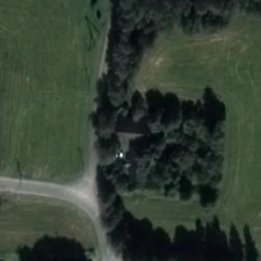 Vaizdas iš viršaus: Karių g. 1, Vištytis