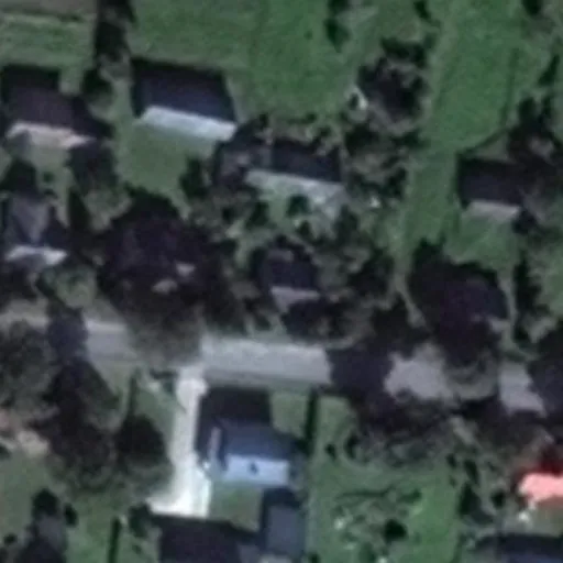 Vaizdas iš viršaus: A. Juozapavičiaus g. 9, Vištytis