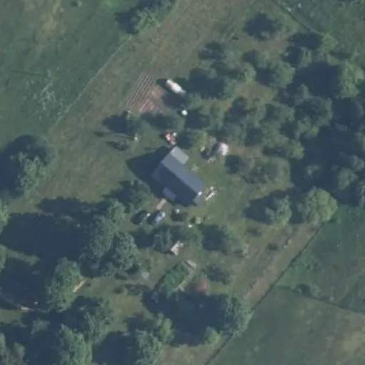 Vaizdas iš viršaus: Briedžių g. 55, Žalesa