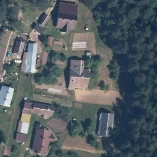 Vaizdas iš viršaus: A. Mickevičiaus g. 13B, Juodšiliai