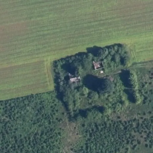 Vaizdas iš viršaus: Guobų g. 51, Vilnius
